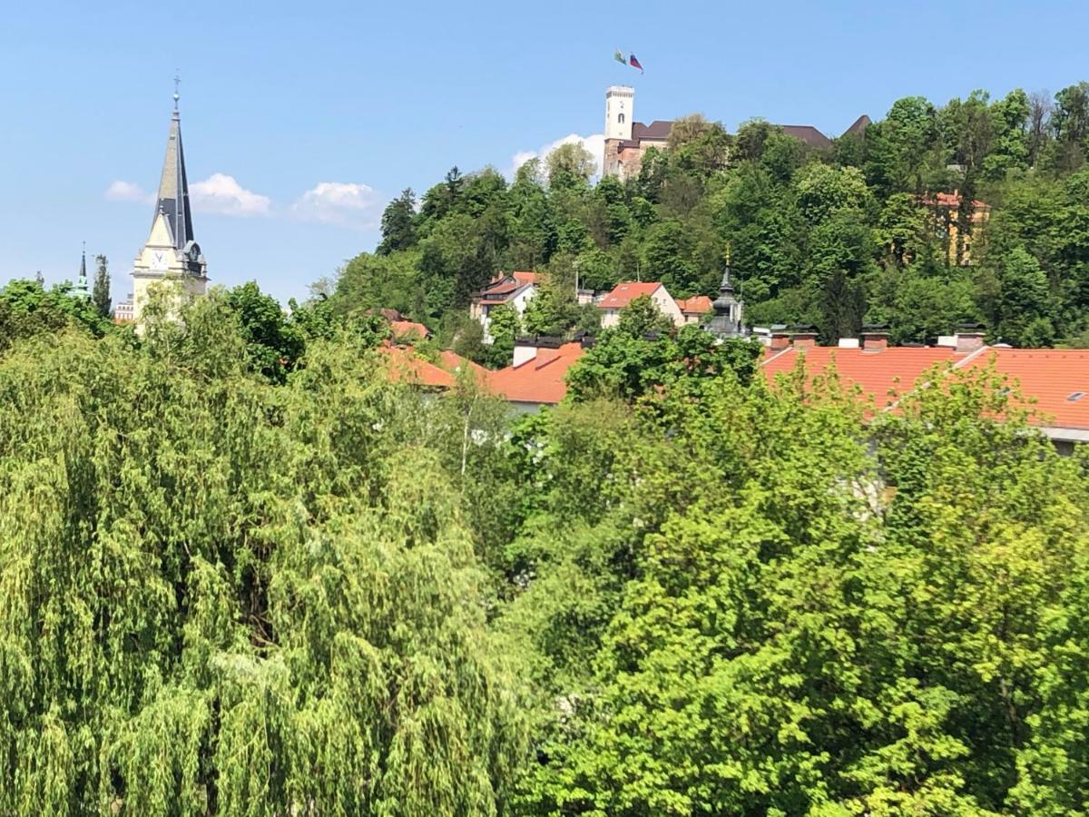 Castle View Studio Ljubljana Dış mekan fotoğraf